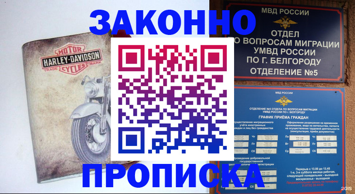 прописка для школы в Белёве